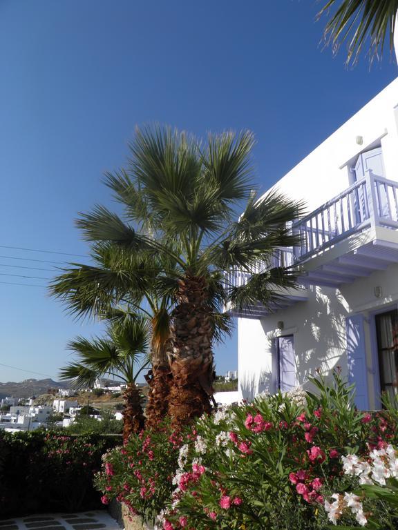 Anastasios Sevasti Otel Mykonos Town Dış mekan fotoğraf