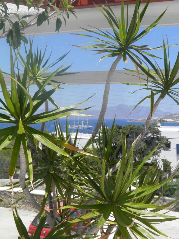 Anastasios Sevasti Otel Mykonos Town Dış mekan fotoğraf